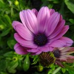 49713e2b-a329-4bb5-a064-9ae1f5725f1f