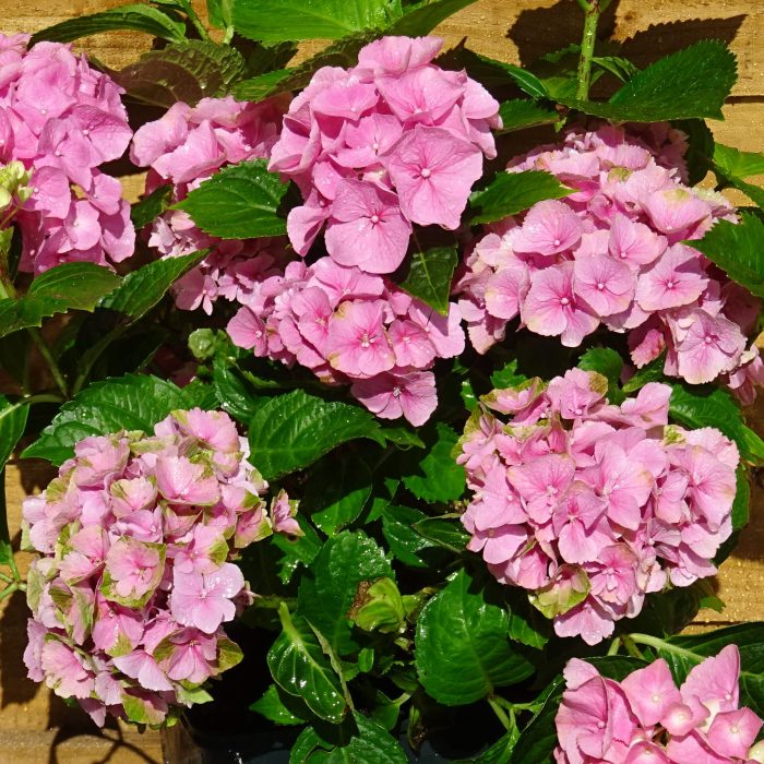 e7e11c8e-03fe-44b7-b20f-221d56c04a4f