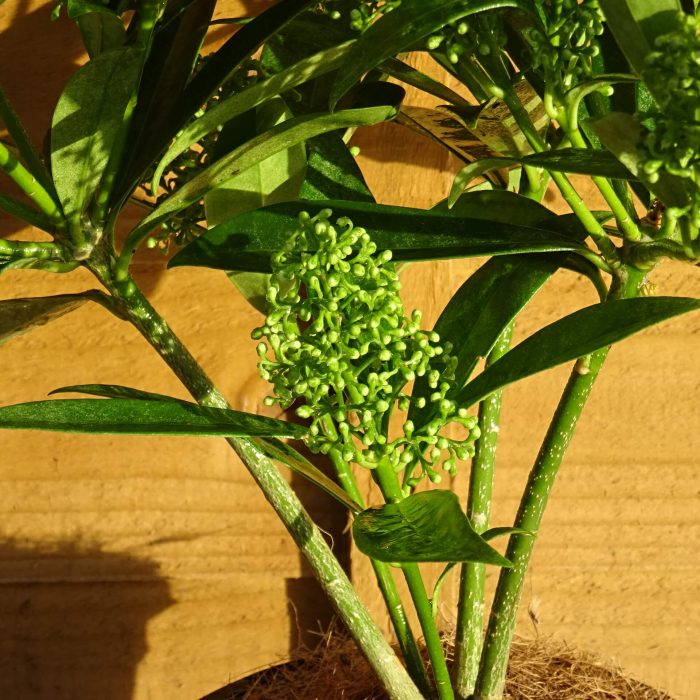 bb07ddc6-96c5-49c8-8ca6-4de763a32fdc