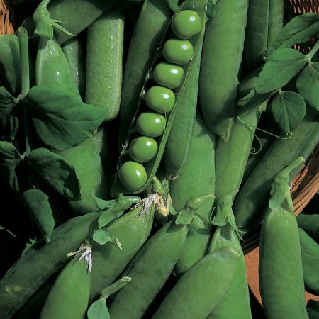 529854a4-32fb-4548-8885-d27fc9aa653f