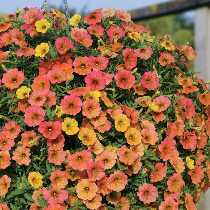 6a6c98be-e527-4b2d-8de5-aa6f15d6f40b