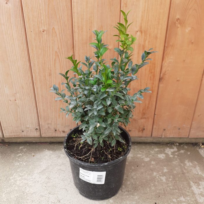 c75844e473a553e7e4a853e0c7148541.jpg 59c481fb-f409-4718-9df1-3c8283a33ff0