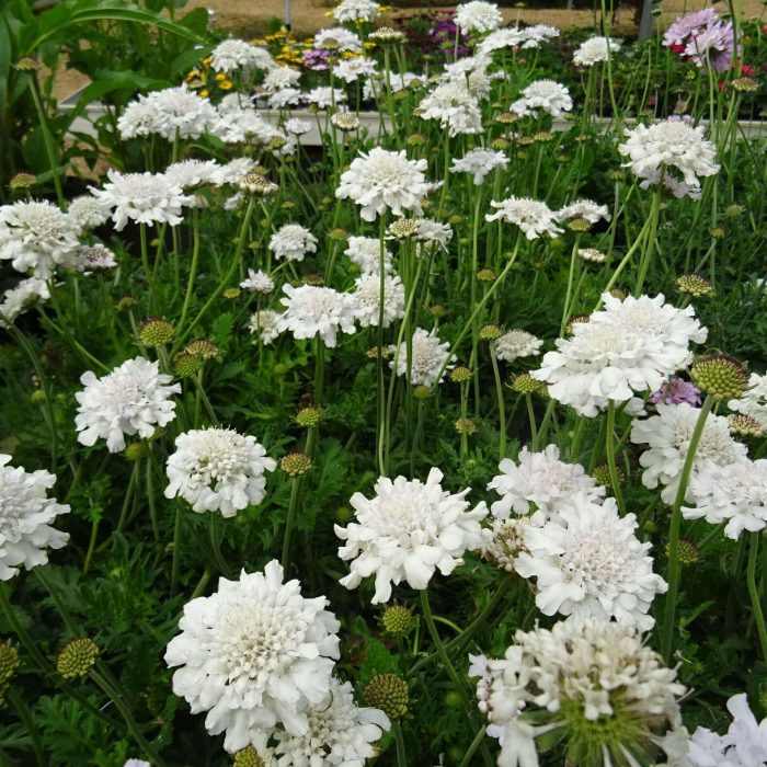 13e662f7-266a-43f5-9912-59add22741d7