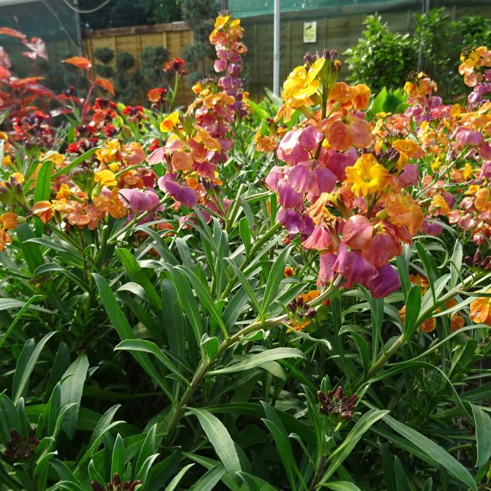 85a2efcb-5af7-44ae-9fa6-e80c72f42279