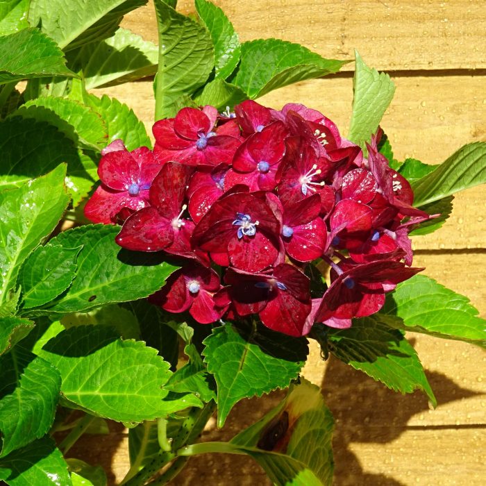 c8c88d42924c92d06427c6c135ec88ea.jpg bd1d0067-85c3-47d6-b7ea-6be4ff38c224