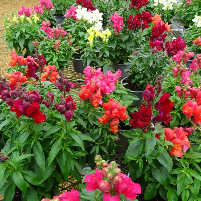 664509c6-5073-4e79-94f5-491597fd10ff