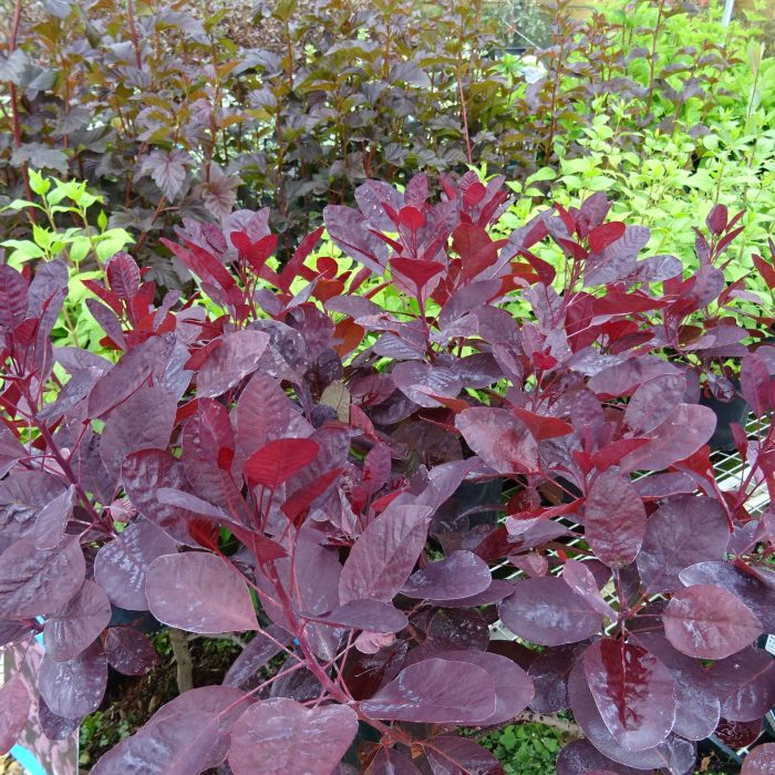 7ef98bac-1ca7-4c5e-a076-849689b65b80