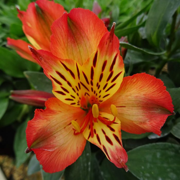 72fd2e73-edb7-4fc9-a83b-d8818079d232