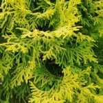 d5274292-08ea-4cbc-8b72-6eea2f7b7a44