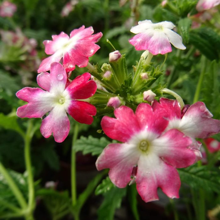 4c85c023-e029-49e1-b4f0-5d04b8872249