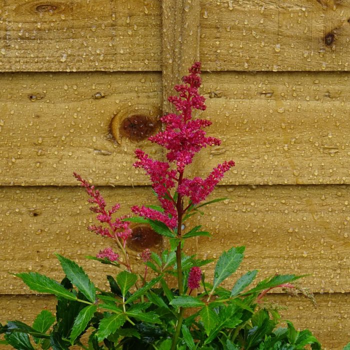 c4172127-9eeb-417a-ae57-675f1d820308