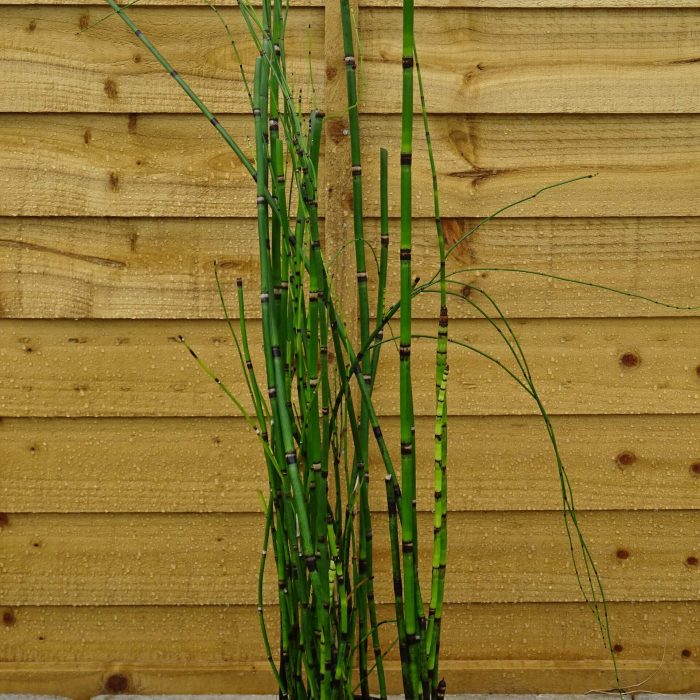 cb33415e9125897de96938aa97502f9c.jpg bdb81299-ebac-4543-a283-f5088d8673e8