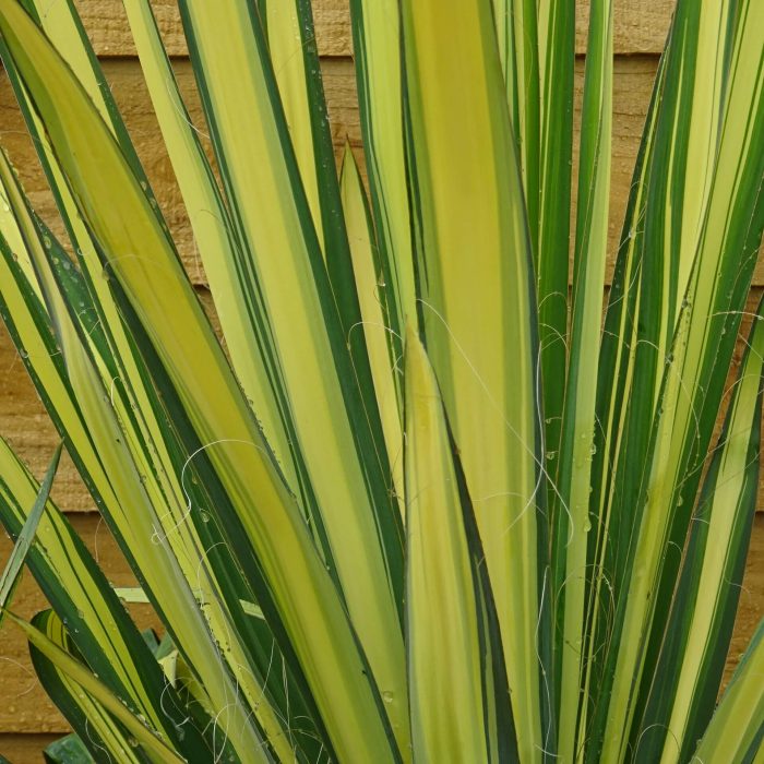 deca82a7-cea9-44b0-9a96-20f2b2b8339b