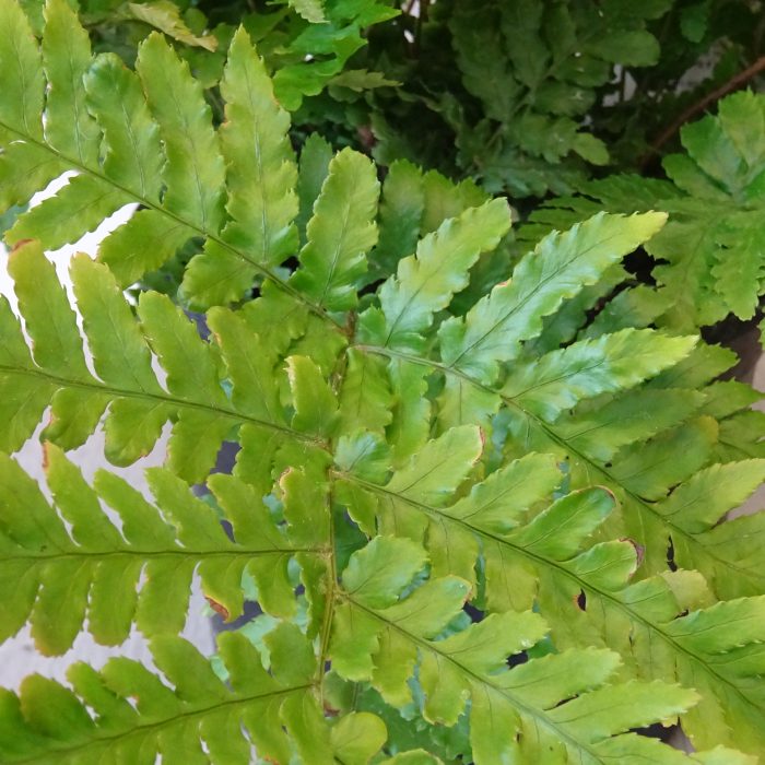 fd4067b6-70d8-445c-bf58-6b9dd2798ea1