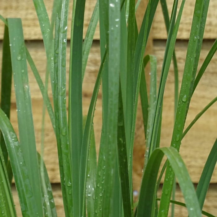 39df6259-2661-41e7-8345-bcb6d7f828c9