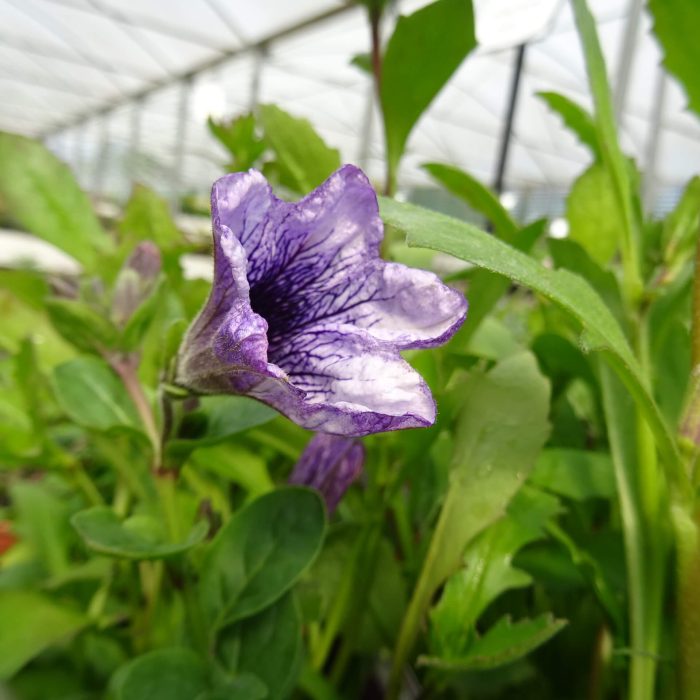 828a865f-77e4-4107-9e04-ee9db5d7907b