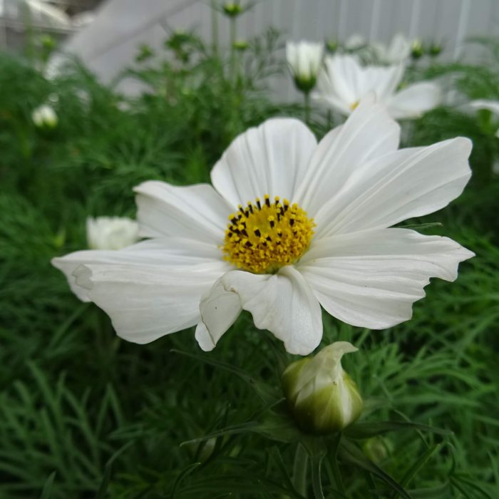 26e4af70-8b97-4a47-b387-5509bd4a2045