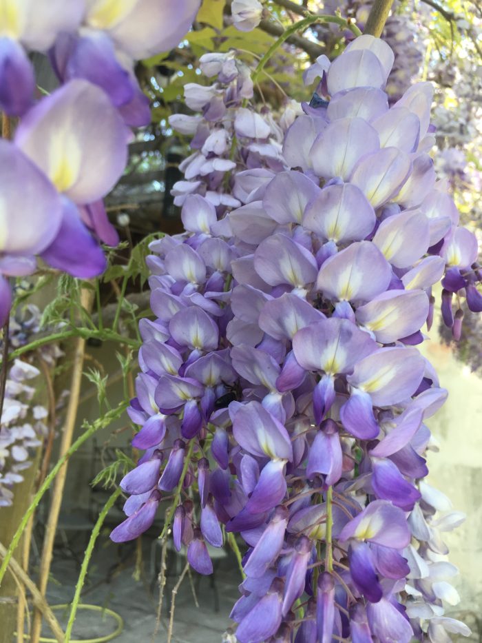 cc30c53f55917b7e480ac5e1a2497157.jpg a1d2e498-10b5-4ad3-b1c1-6fc6b9f9fb02