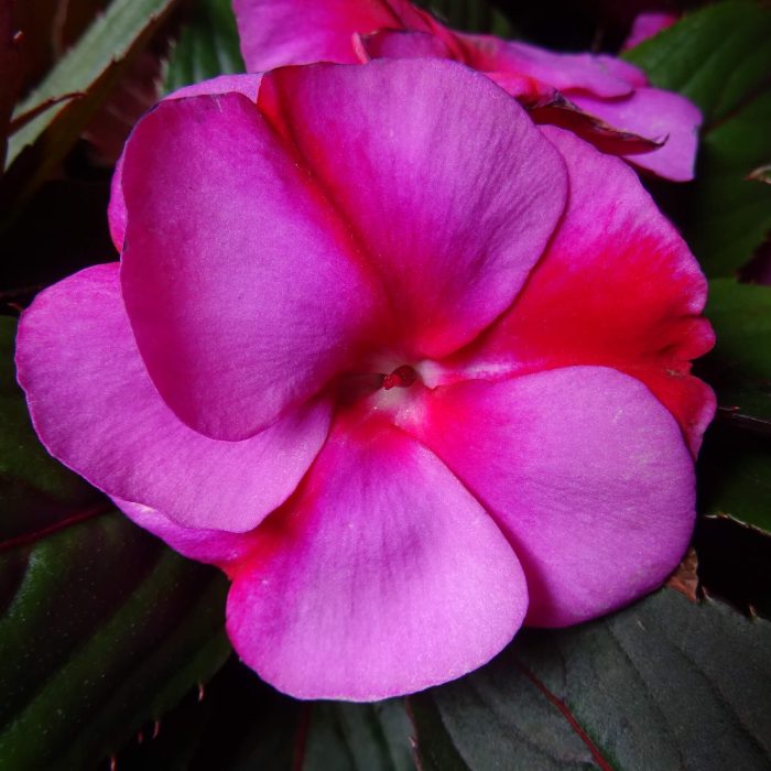 f0b0e9cd-5023-495d-b764-6d04e766d448