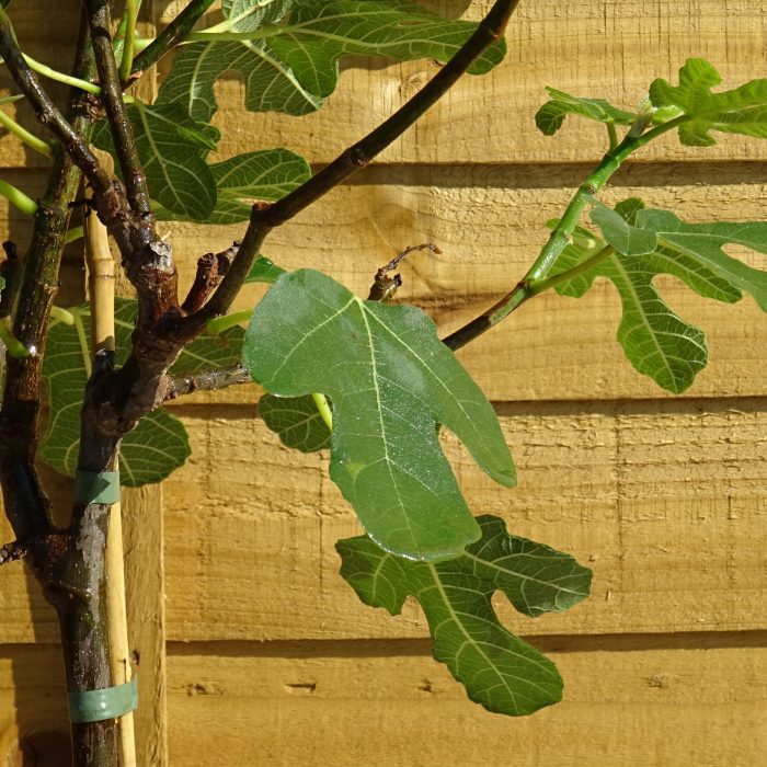 1ec9adca-7631-4482-94b3-d54e1a53ba3f