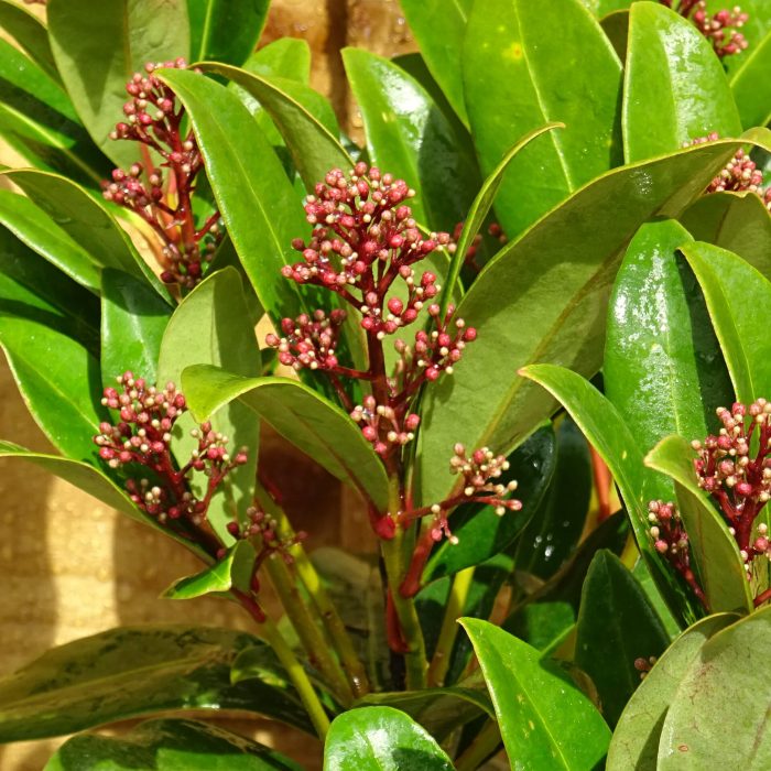 e9d93105-c784-4360-a2b2-9b39ae37ae81