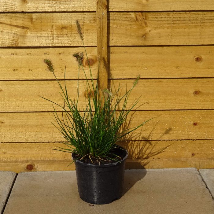 871e7e4e-862c-44b5-8047-7e65cb987053