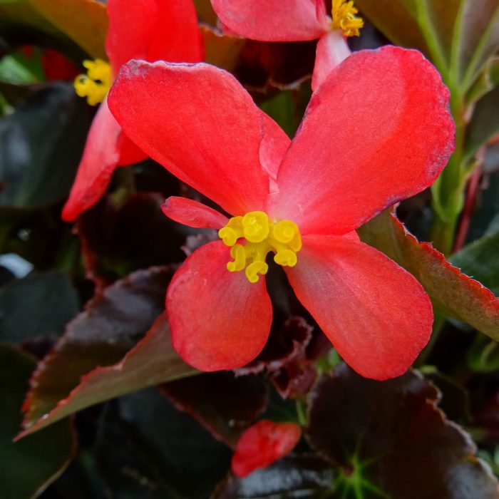 4c930b0b-1401-4fb0-9cee-fb3604fed558