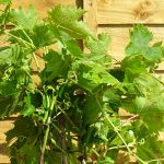 d7f220a5-2953-47df-beba-38daa45ec87c