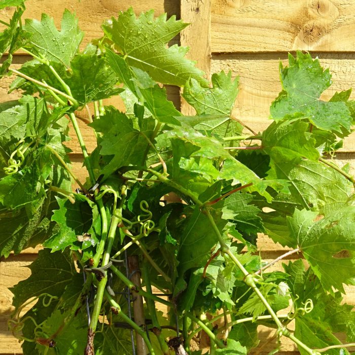 d7f220a5-2953-47df-beba-38daa45ec87c