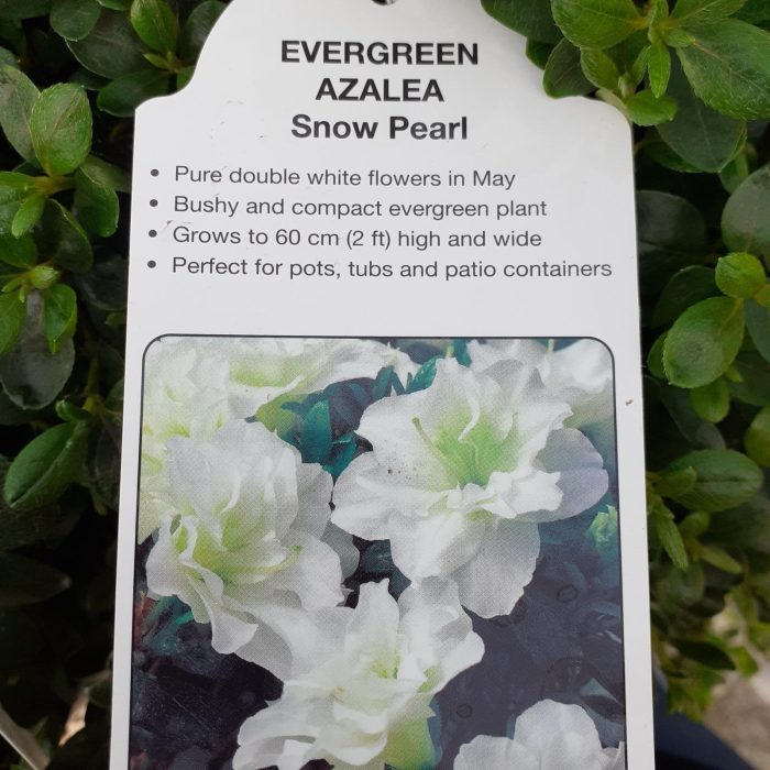 60c58c0d-ba7a-44e4-9fb6-3820cd4ea4fa