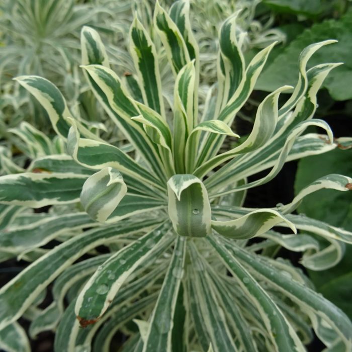 de90cae4-d5e8-4d2f-a518-7bb6643423be