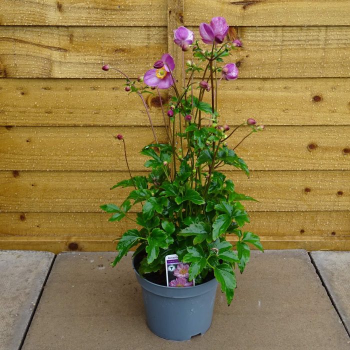 d0236077f285aa95a6748a8344b9fef1.jpg 3e48362f-359b-4d5a-a8f7-4ab439cf1b41