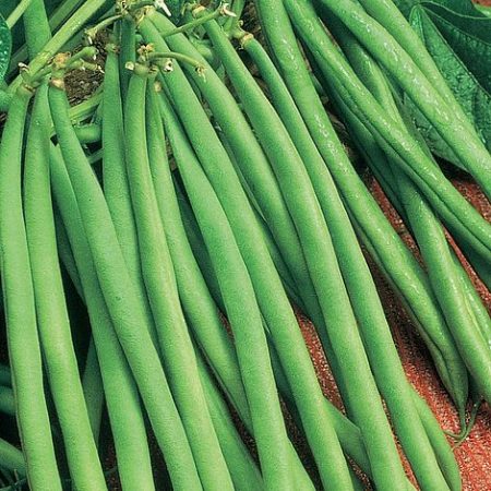 68e2e2d5-df89-4d61-b05f-b9b9ddc36d7c