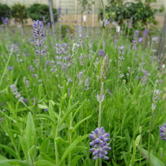 614b0cf2-cbb3-4e96-89f7-cae4dc5f76b6