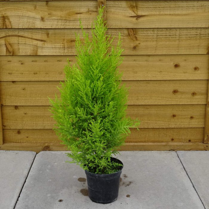 8eb507c1-4c69-4c7a-9fb7-9838b570615b