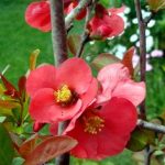 7d869891-42a0-4e8c-95c1-a9b2a473cece