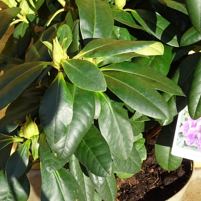 b353c2ac-d60e-497f-b52c-54f3c8413e52