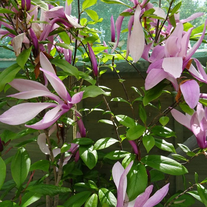 ec6e902c-8381-416e-a9fa-42407706cd12