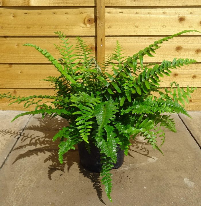 b689a862-990f-47c8-91e4-9a1a27a0d813