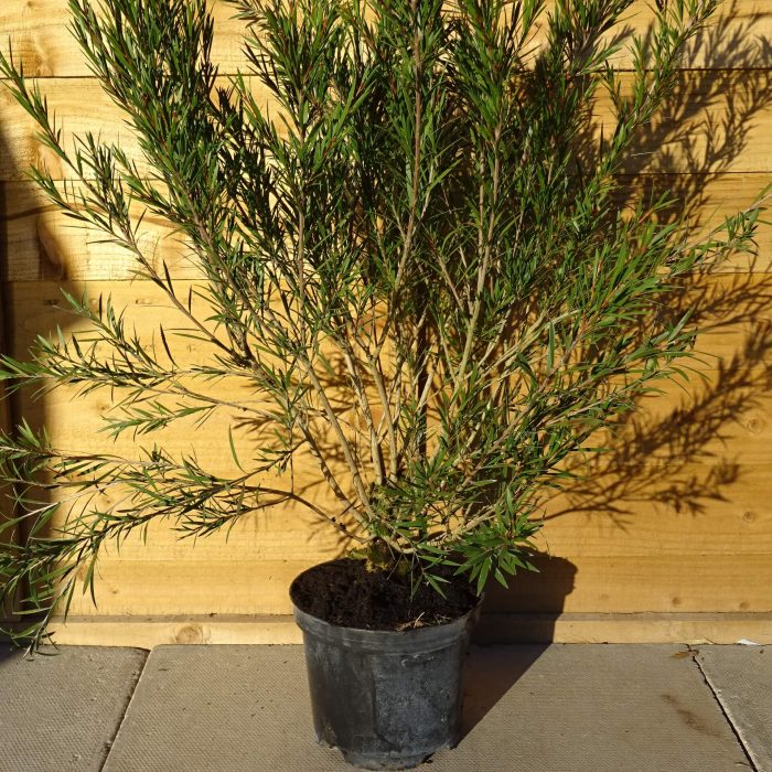 67089492-d68d-4260-bc47-b61d24e60759