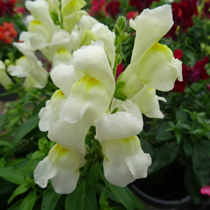 58232e45-1eec-49b2-b932-55890bd5062f