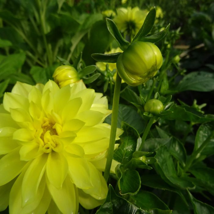 d3fa30ece791eb03b2e1a0697c730327.jpg 466b5ac4-25e1-4102-a71d-6be19f26e638