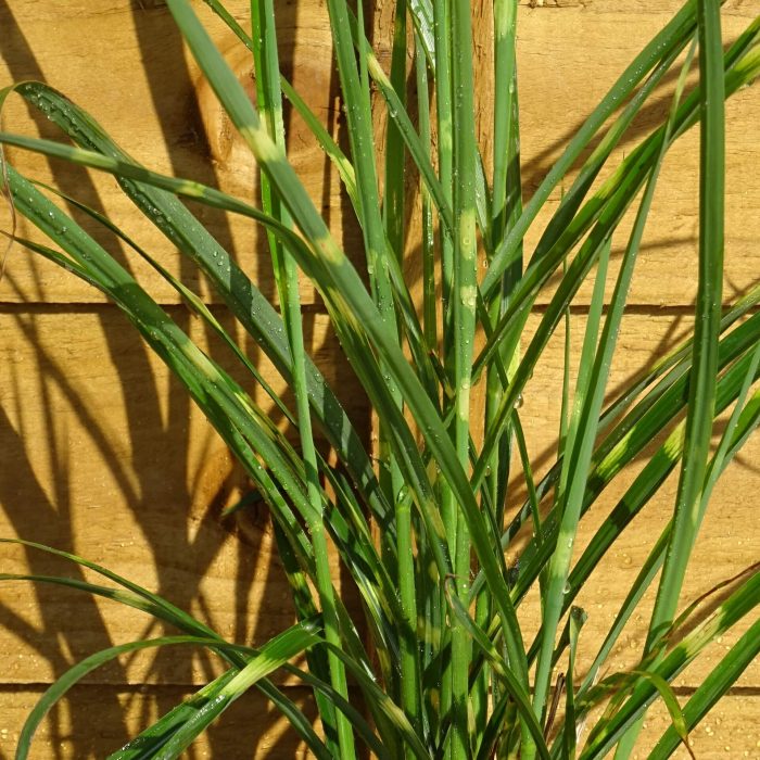 cd42d44b-c851-47b9-a30e-ca0a8b891ee1