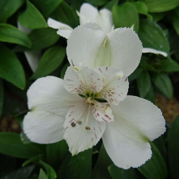 b49d009c-db73-40a9-980c-854e9198ed9d