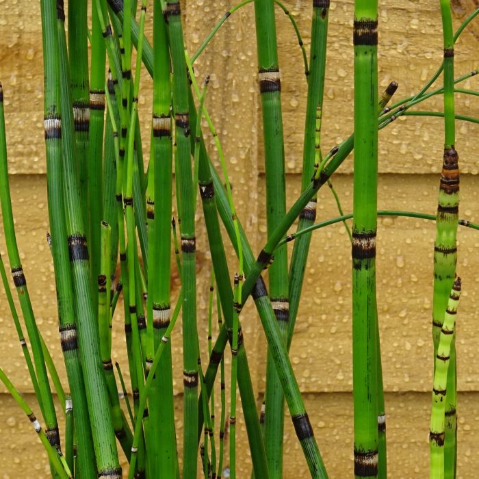 d4bd7358f93f442bf71a4fecdc5de4b3.jpg 5346ba3e-a814-4aa4-b91a-279456f37bd2