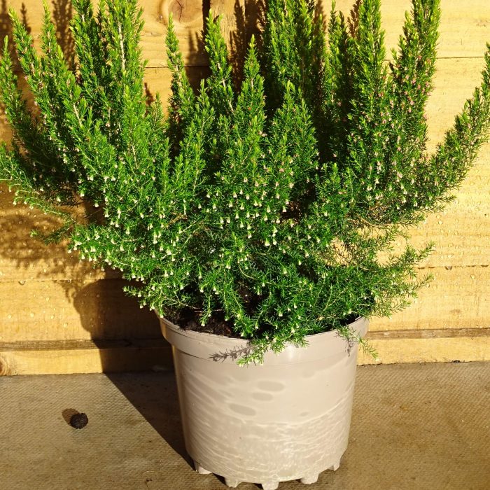 a364538f-69c3-44d7-ba27-e732ec2f7c8f