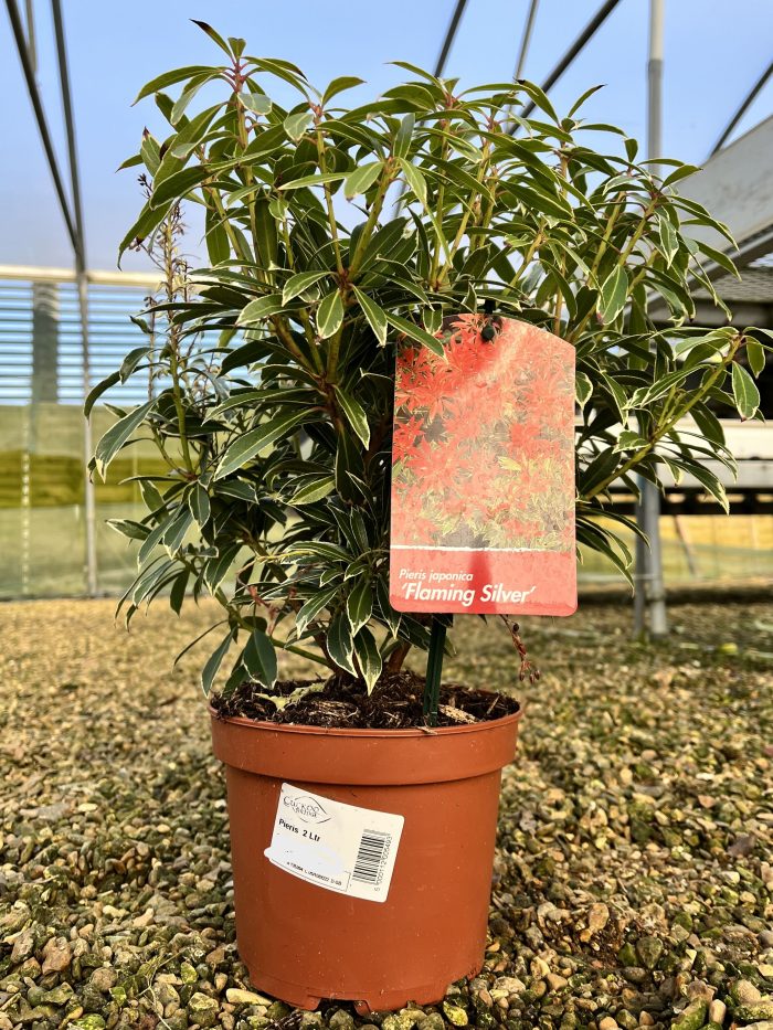 b58549f9-d148-4ee2-a89f-c170239eeaa4