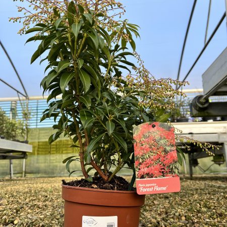 18bbc7fa-19d8-490b-83a9-2eb75a16bec5