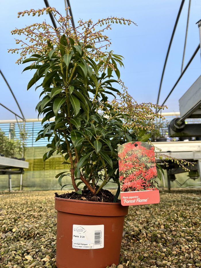 18bbc7fa-19d8-490b-83a9-2eb75a16bec5