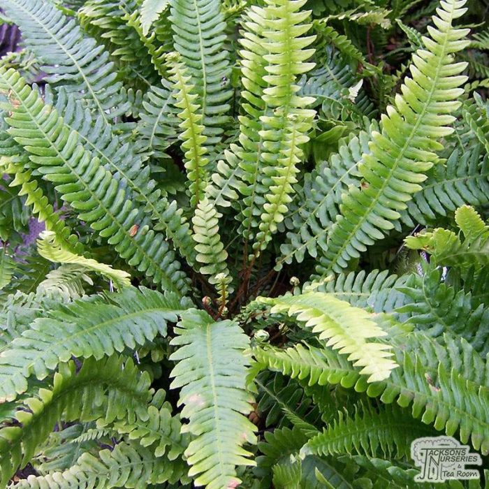 9b525932-eac9-411d-bb60-85c21d7c7ef2